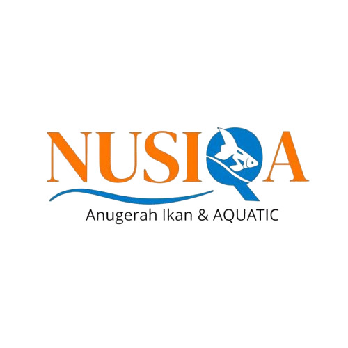 NUSIQA KOI CENTER